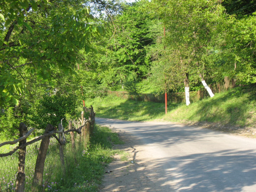 24356 (a): :1600x1200